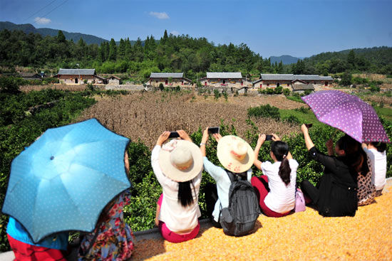 深圳银湖旅游中心1983奠基仪式(深圳银湖旅游中心免费吗)