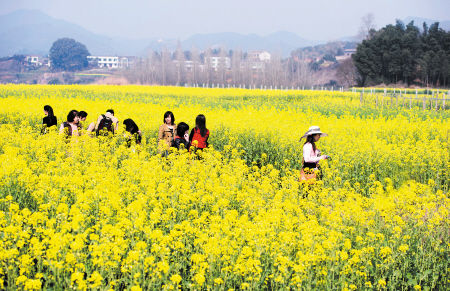 峨眉山旅游app(峨眉山旅游拜佛)